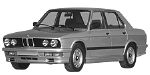 BMW E28 P060C Fault Code